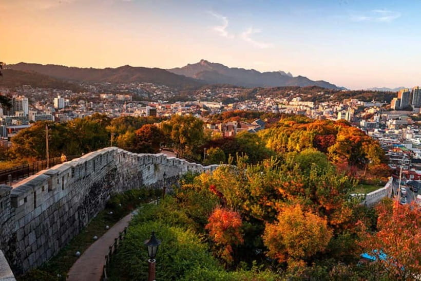 Seoul: City or Suburbs Private Chartered Car Tour for 10HR - Route 2: DMZ time plus Paju Outlet shopping breaks