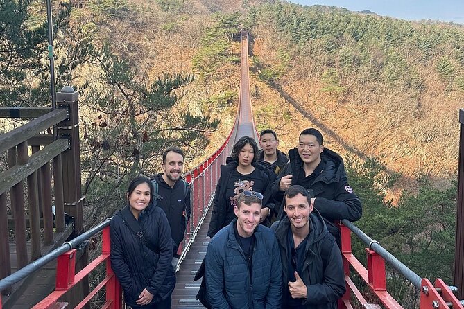 Seoul City Private Tour (Optional : Seoul, DMZ, Nami Island) - Pickup, AC comfort, and the logistics your driver handles