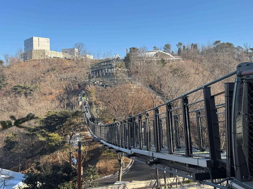 Seoul: Closest DMZ Observatory with North Korea View (1.4km) - Aegibong Peace Eco Park: Suspension Bridge and Ecological Exhibits