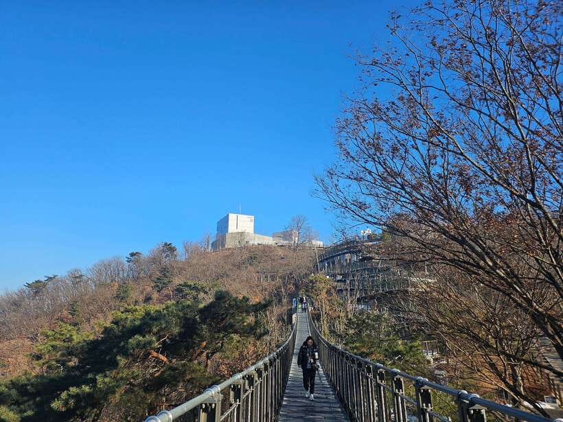 Seoul: Closest DMZ Observatory with North Korea View (1.4km) - Who This Tour Fits Best (and Who Might Want to Skip It)