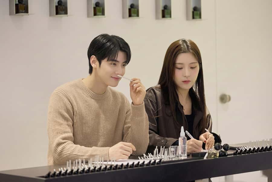 Seoul: Create Your Own Natural Perfume with a Perfumer - Who should book this perfume workshop (and who may not love it)