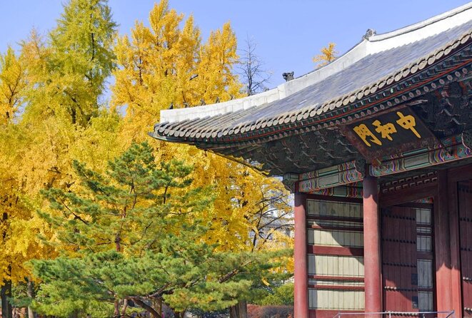 Seoul: Deoksugung Palace Night Tour - Who should book this Deoksugung Palace Night Tour