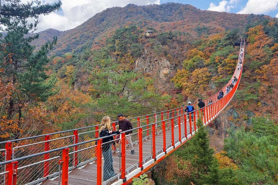 Seoul: DMZ Guided Tour with Suspension Bridge and Gondola - A DMZ day that stays humane, even when it’s intense