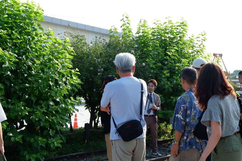 Seoul: DMZ Tour with Japanese-Speaking Guide - Price and Value for a 7-8 Hour DMZ Day