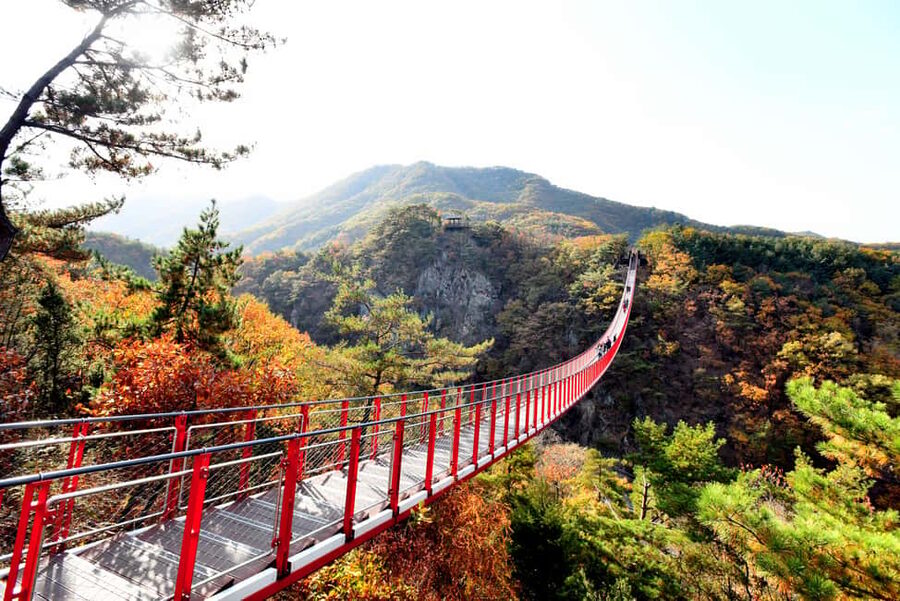 Seoul: DMZ Tour with Optional Suspension Bridge - Key things I’d watch for on this DMZ day