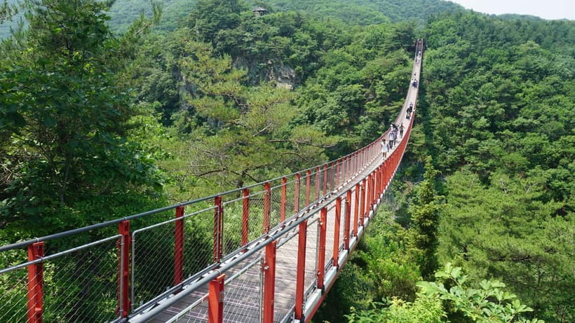 Seoul: DMZ Tour with Optional Suspension Bridge - DMZ Theater and Exhibition Hall, then the 3rd Infiltration Tunnel