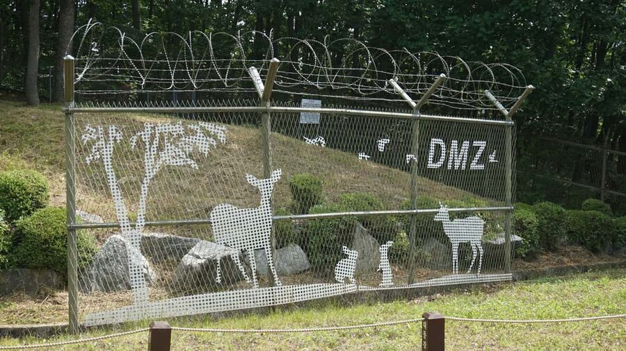Seoul: DMZ Tour with Optional Suspension Bridge - Dora Observatory and the 4 km buffer zone view