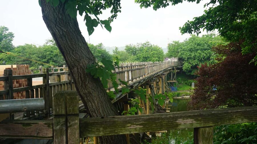 Seoul: DMZ Tour with Optional Suspension Bridge - Unification Village stop, souvenirs with a purpose