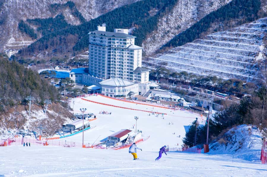 Seoul: Elysian Gangchon Winter Ski Resort Fun Day Tour - Free Time From 10:30am to 4:00pm: slopes, lifts, and sled fun