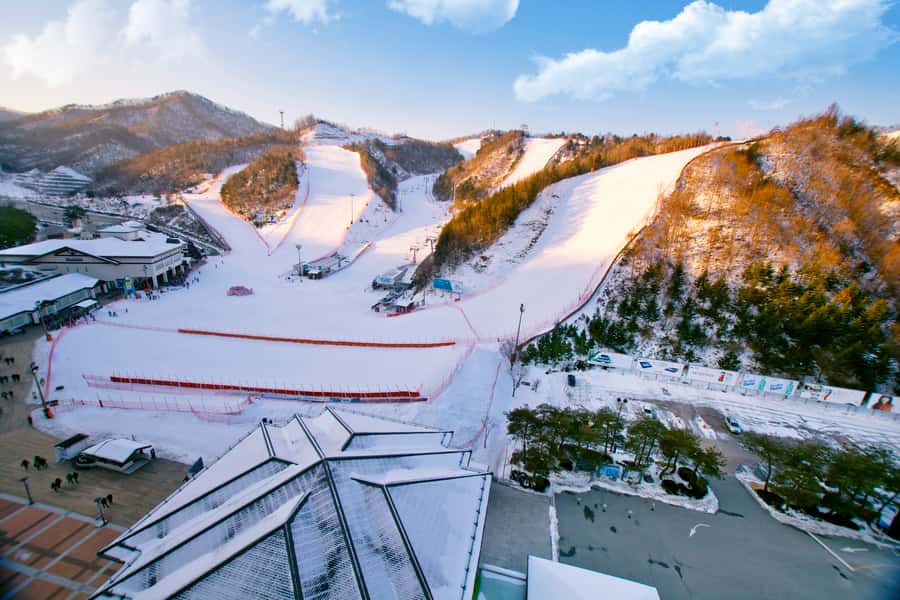 Seoul: Elysian Gangchon Winter Ski Resort Fun Day Tour - The Human Side: English and Chinese support, plus guides by name