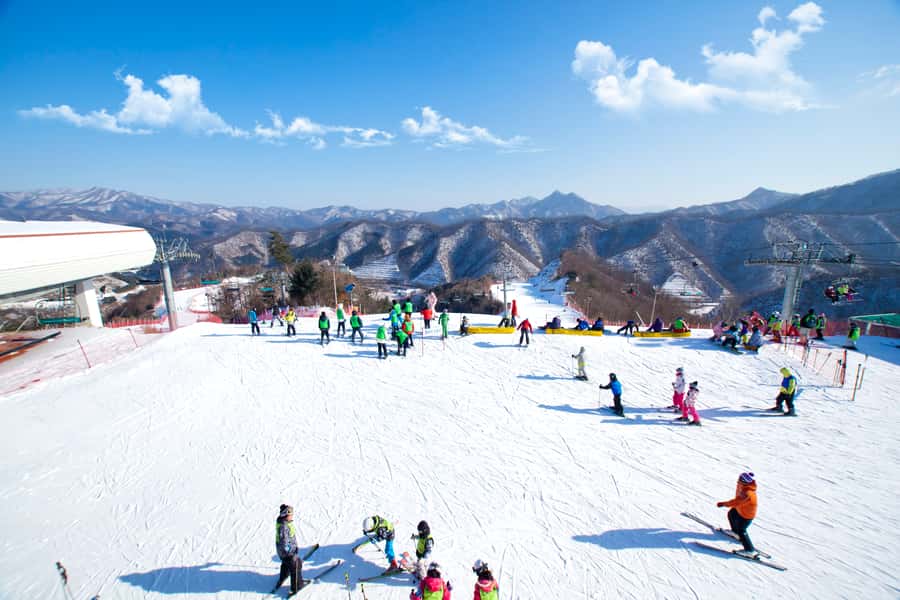 Seoul: Elysian Gangchon Winter Ski Resort Fun Day Tour - Should You Book This Seoul Elysian Gangchon Ski Day Tour?
