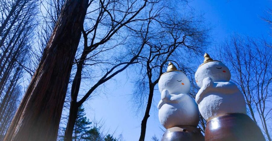 Seoul: Elysian Gangchon Winter Ski with Nami Island Day Tour - Key points to know before you go