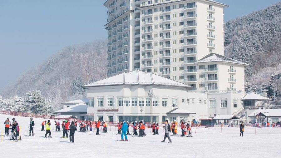 Seoul: Elysian Gangchon Winter Ski with Nami Island Day Tour - Elysian Gangchon: skiing and snow fun with real beginner support