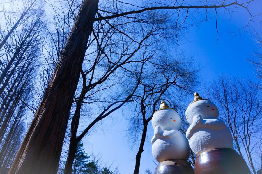 Seoul: Elysian Gangchon Winter Ski with Nami Island Day Tour - Group day reality: how to make it smoother for you