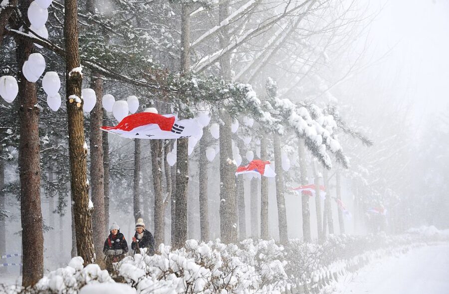 Seoul: Elysian Gangchon Winter Ski with Nami Island Day Tour - Who this trip is for (and who should skip it)