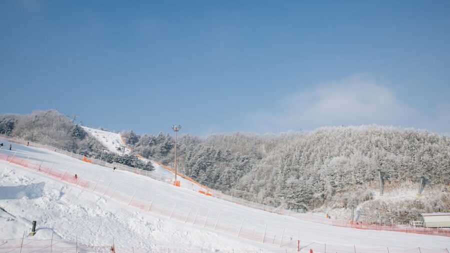 Seoul: Elysian Gangchon Winter Ski with Nami Island Day Tour - Value for $35: what you are really buying