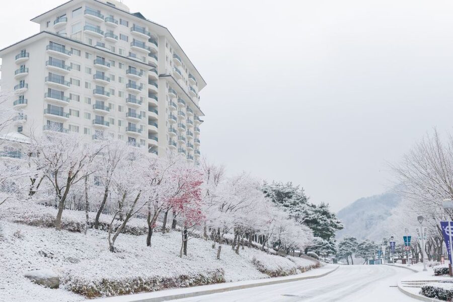 Seoul: Elysian Gangchon Winter Ski with Nami Island Day Tour - Tips to get the best winter day out of it