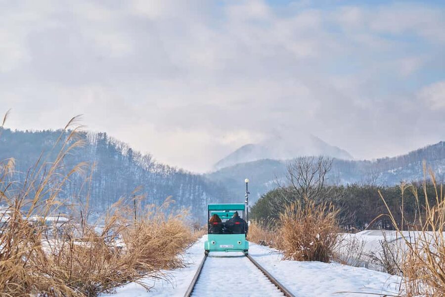 Seoul: Eobi Ice Valley, Alpaca World, Nami Island and More - The winter day trip rhythm: how the long coach loop feels