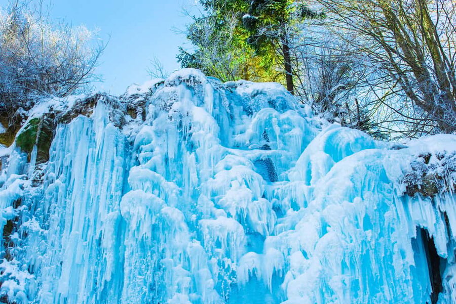 Seoul: Eobi Ice Valley, Alpaca World, Nami Island and More - Practical details that matter on a winter day