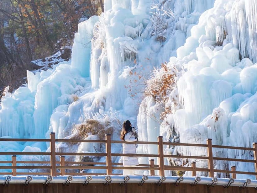 Seoul: Eobi Valley(Winter), Strawberry, Nami Island and Bike - Should you book this Seoul winter farm, ice, island, and railbike day?
