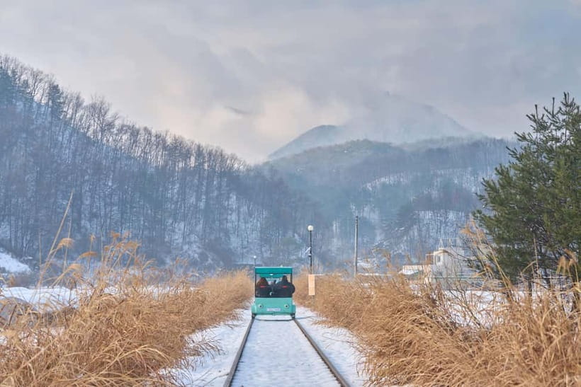 Seoul: Eobi Valley(Winter), Strawberry, Nami Island and Bike - Nami Island’s tree-lined paths: walking, biking, and drama-favorite scenery
