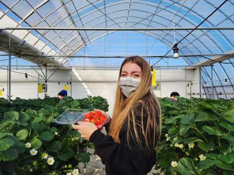 Seoul: Eobi Valley(Winter), Strawberry, Nami Island and Bike - The kind of guide support you can expect