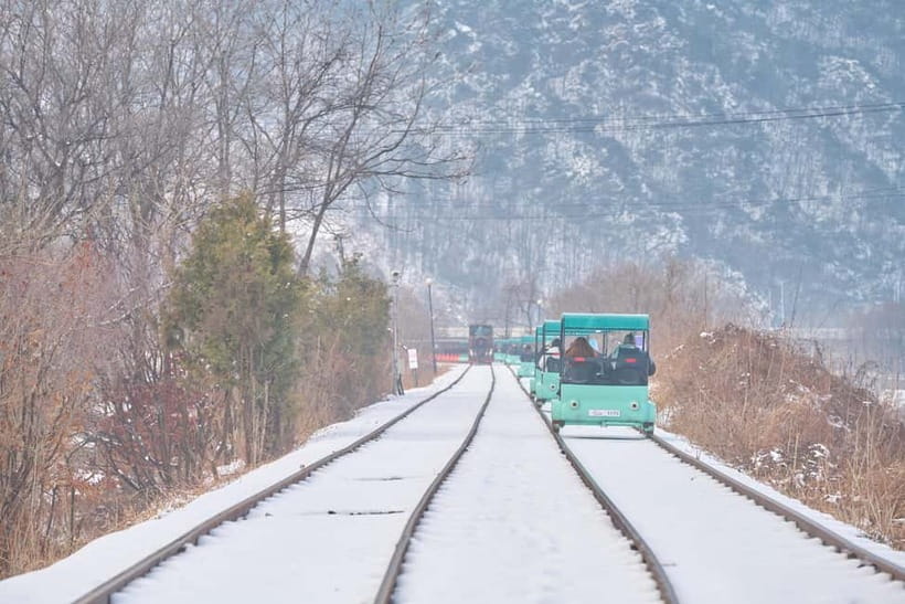 Seoul: Eobi Valley(Winter), Strawberry, Nami Island and Bike - Who this tour fits best (and who might not)