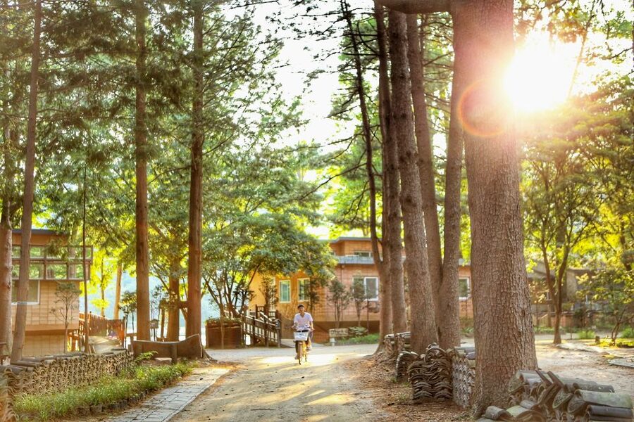 Seoul: Eobi Valley(Winter), Strawberry, Nami Island and Bike - Eobi Ice Valley in winter: best for photos, plan for cold