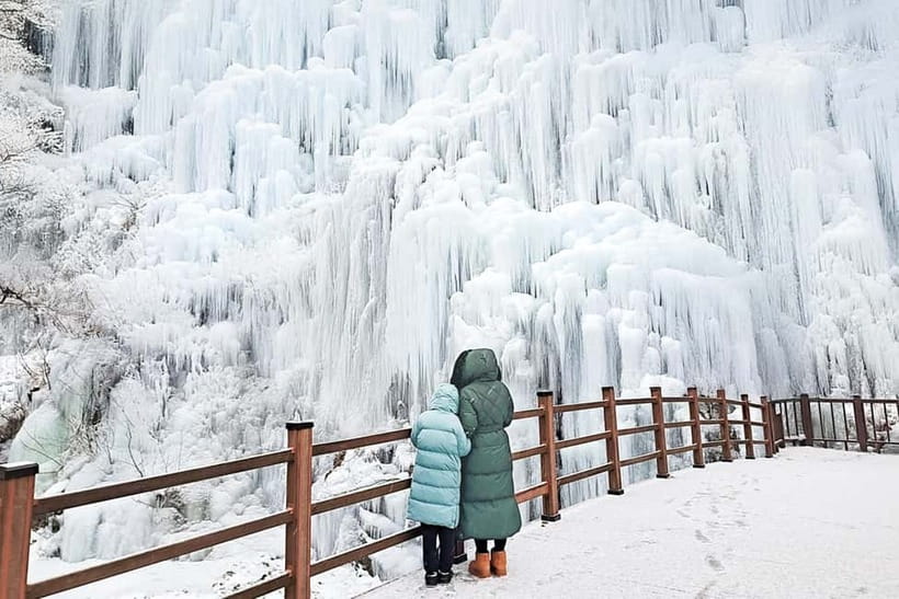 Seoul: Full-Day Winter Trip Ski Resort, Ice Valley, Namiseom - Nami Island by ferry: romance, trees, and time to slow down
