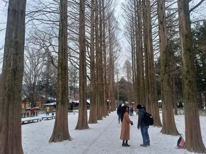 Seoul: Full-Day Winter Trip Ski Resort, Ice Valley, Namiseom - Transfers, timing, and the real rhythm of a winter day trip