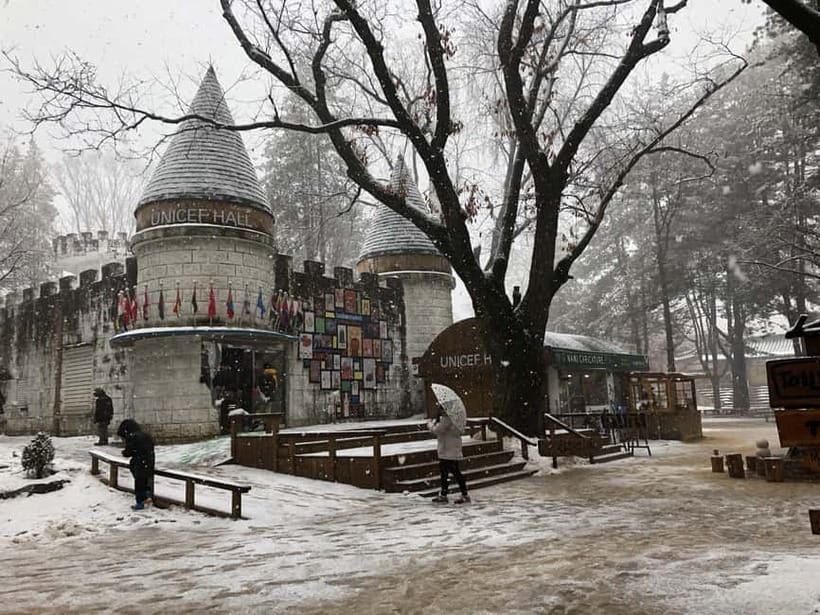 Seoul: Full-Day Winter Trip Ski Resort, Ice Valley, Namiseom - Who this tour suits, and who should skip it