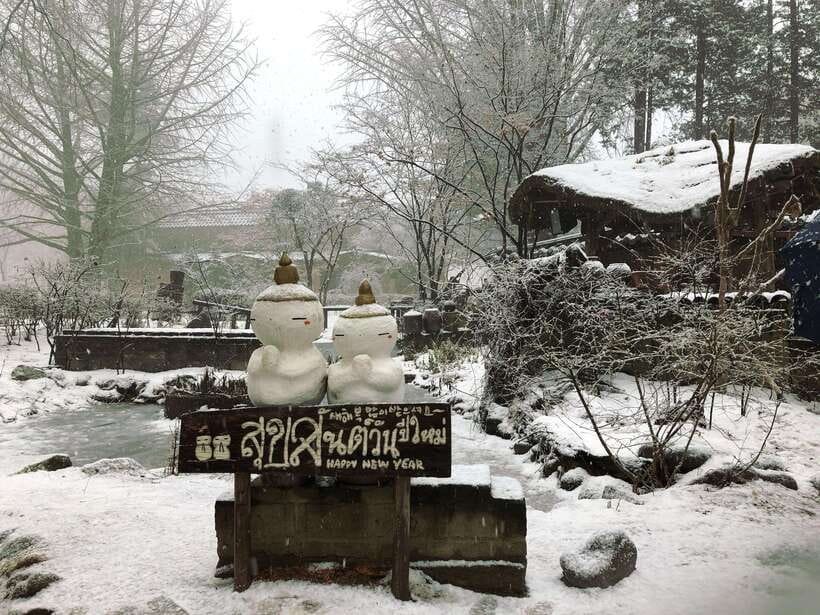 Seoul: Full-Day Winter Trip Ski Resort, Ice Valley, Namiseom - Elysian Gangchon Ski Resort: where beginners have room to breathe