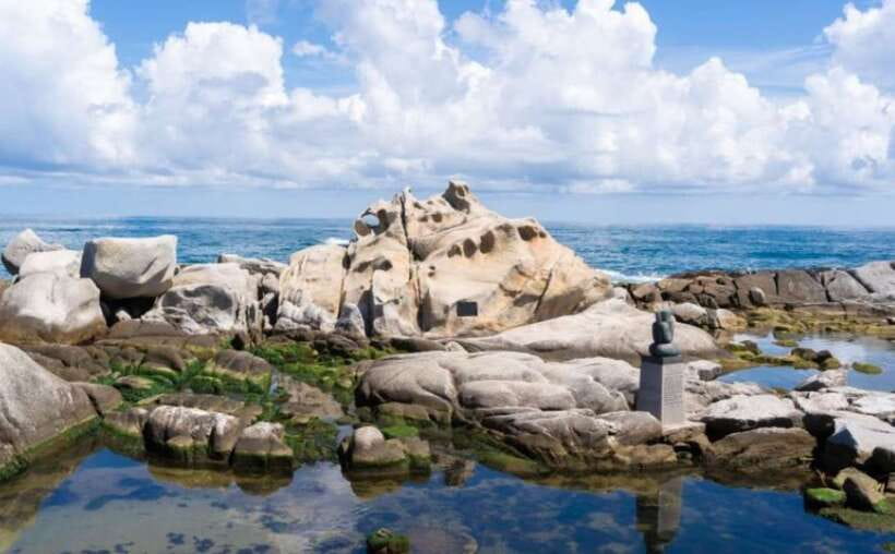 Seoul: Gangneung BTS K-Pop & K-Drama Filming Locations Tour - Haslla Art World: contemporary art plus a nature setting