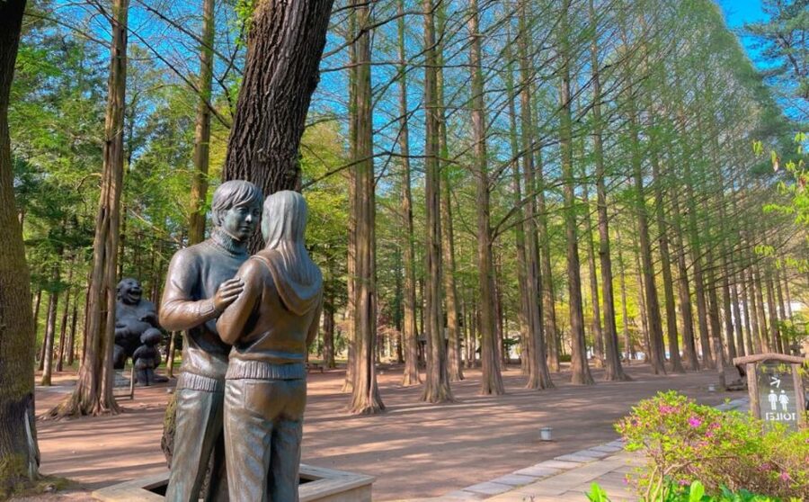 Seoul: Gangwon-do Day Trip with Alpaca World & Nami Island - Transportation and drop-off: Hongdae helps, but it is not the same as hotel return
