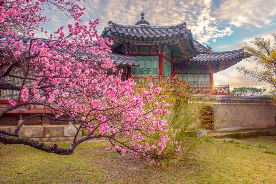 Seoul: Gyeongbok Palace and Bukchon Hanok Walking Tour - Getting started at City Hall Station, Exit 6
