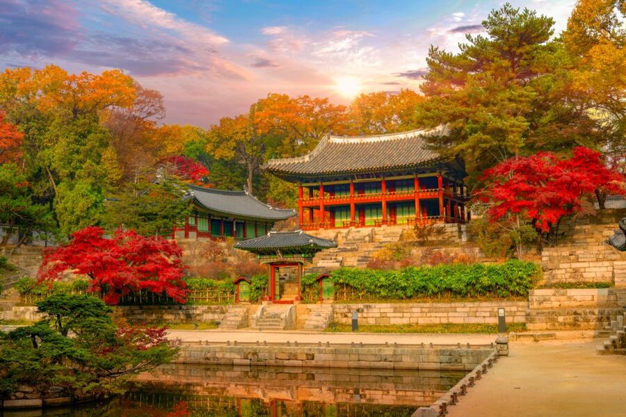 Seoul: Gyeongbok Palace and Bukchon Hanok Walking Tour - Bukchon Hanok Village and Samcheongdong Alley: old houses, real street energy
