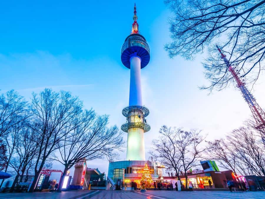 Seoul: Gyeongbokgung / Hanok Village / N Seoul Tower - Lunch with samgyetang and how to handle dietary needs