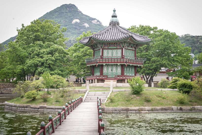 Seoul Highlights: Gyeongbok Palace, Insadong & N Seoul Tower - Who this tour suits best, and who should choose something else
