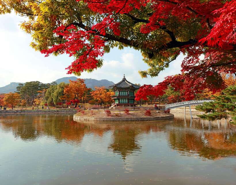 Seoul Highlights: Gyeongbok Palace, Insadong & N Seoul Tower - Why this route works when you have limited Seoul time