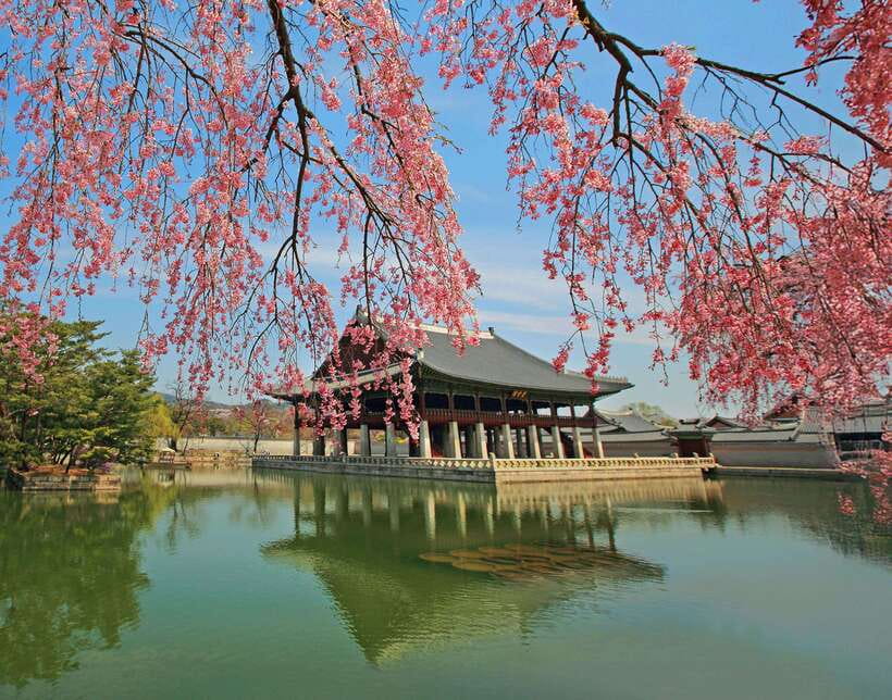 Seoul Highlights: Gyeongbok Palace, Insadong & N Seoul Tower - Gyeongbokgung Palace grounds and the National Folk Museum of Korea