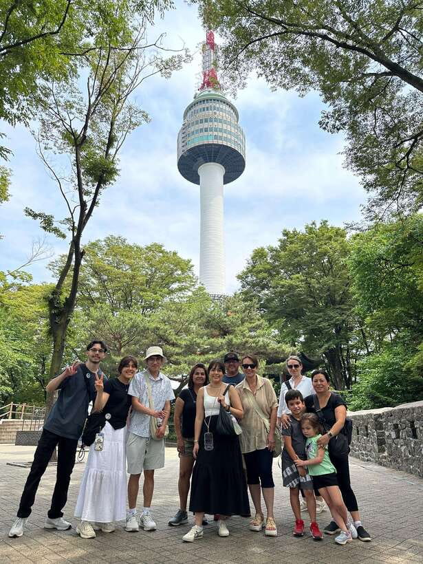 Seoul Highlights: Gyeongbok Palace, Insadong & N Seoul Tower - Cable car to N Seoul Tower: panoramic photos and what is not included
