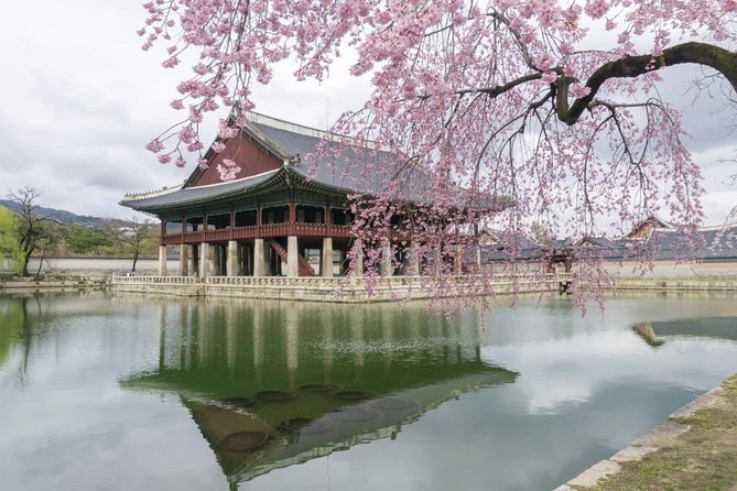 Seoul Highlights & Hidden Gems – Private Tour with Photo Service - A Private Photo Tour Means You Stop Worrying and Start Looking