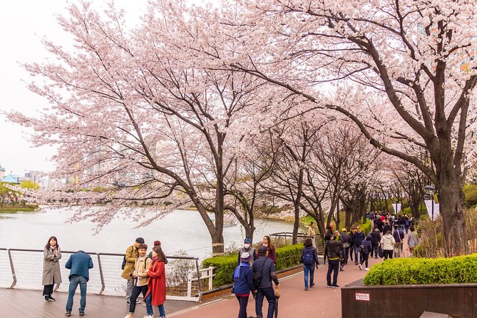 Seoul Highlights & Hidden Gems – Private Tour with Photo Service - The 8 to 10 Hour Route: A Full-Day Seoul Mix Without Public Transit Stress