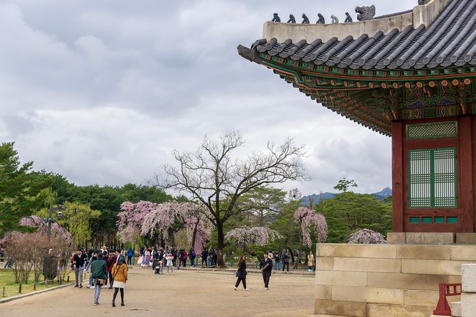 Seoul Highlights & Hidden Gems – Private Tour with Photo Service - Gyeongbokgung Palace: Royal Courtyards and Guard-Ceremony Timing