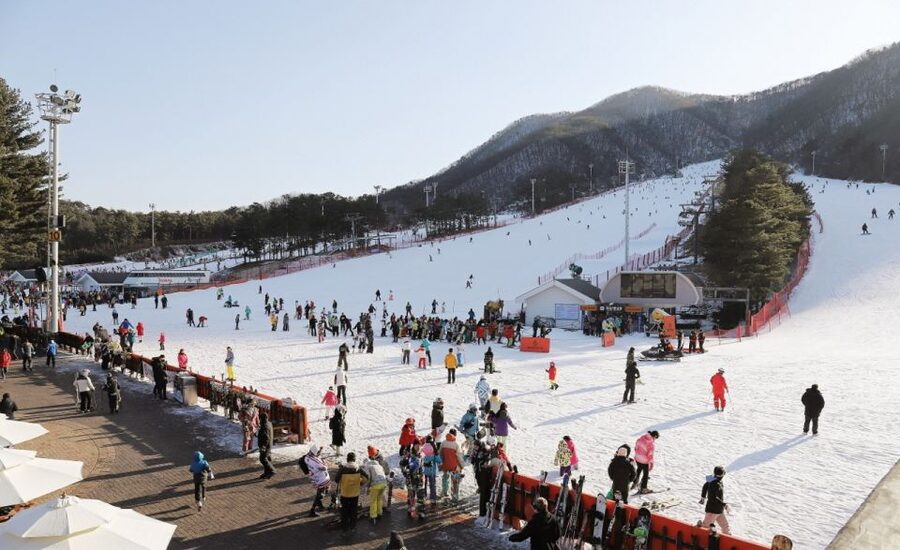 Seoul: Jisan Forest Winter Ski Day Tour with Basic Lesson - Getting back to Seoul: timing, energy levels, and planning your evening