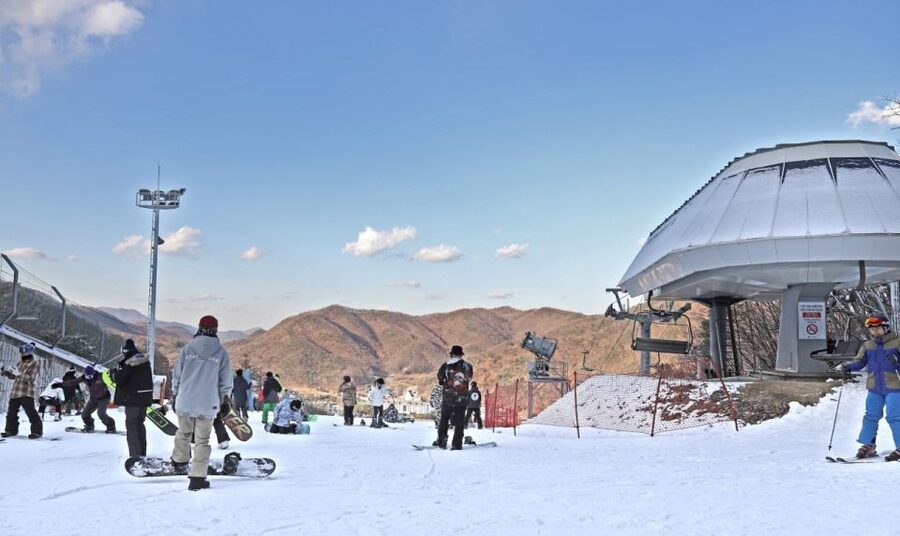 Seoul: Jisan Forest Winter Ski Day Tour with Basic Lesson - Who this tour suits best (and who might want a different plan)