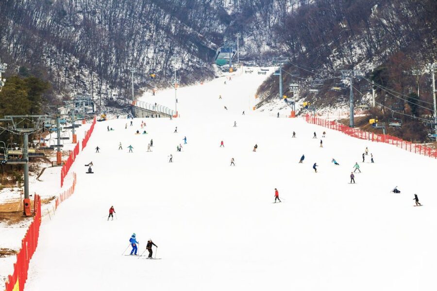 Seoul: Jisan Forest Winter Ski Day Tour with Basic Lesson - Choosing between ski or snowboard packages (and what’s included)