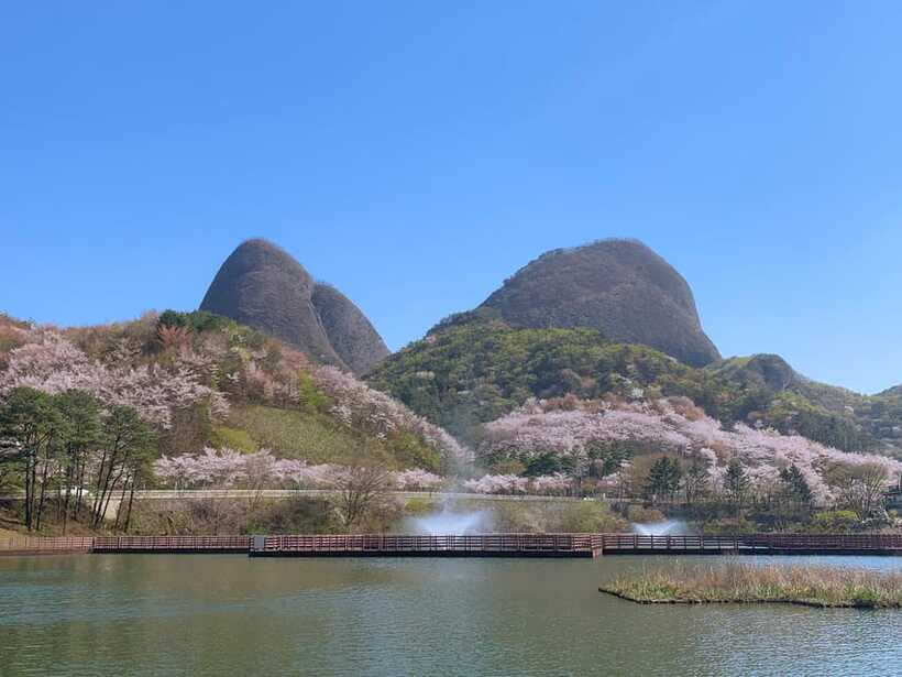 Seoul: Maisan Cherry Blossom and Jeonju Hanok Day Tour - Hanbok and Snacks: The Fun Parts That Make It Feel Like Korea