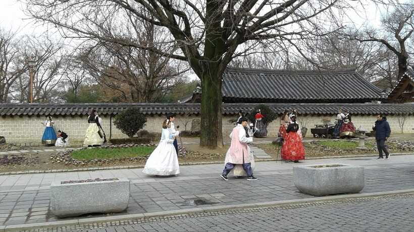 Seoul: Maisan Cherry Blossom and Jeonju Hanok Day Tour - Tips to Make Your Day Smoother