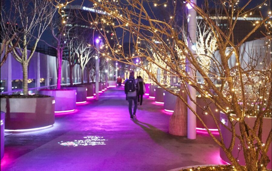 Seoul: Moonlight Rainbow Fountain Show Night Tour - A 4-hour Seoul night loop that actually makes sense